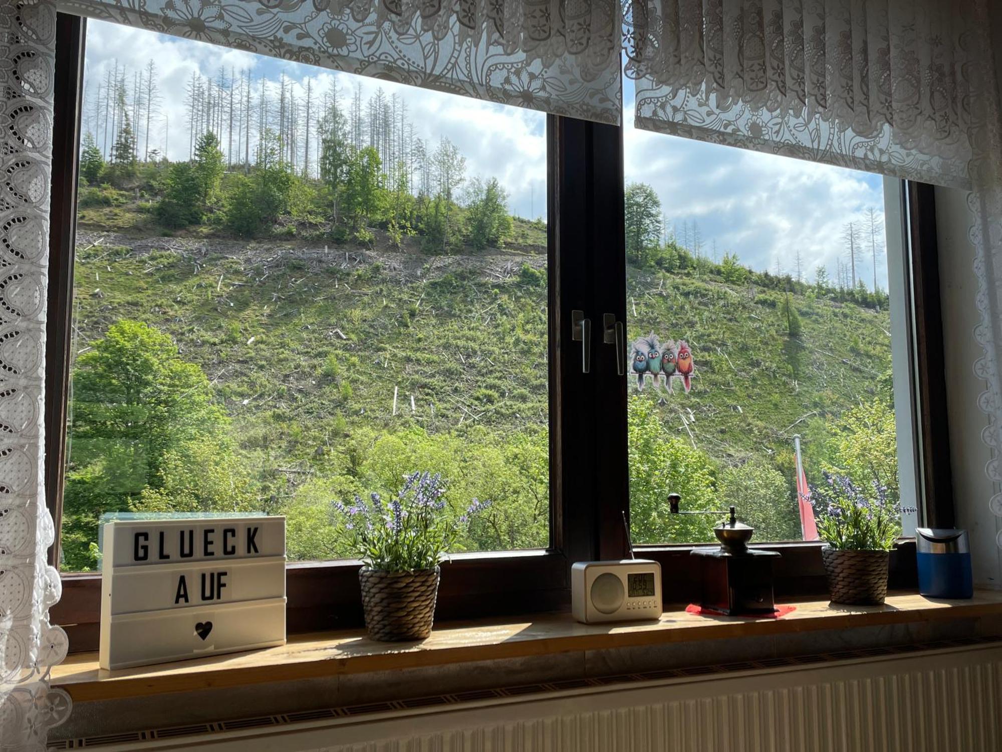 Dathuus Sankt Andreasberg Esterno foto